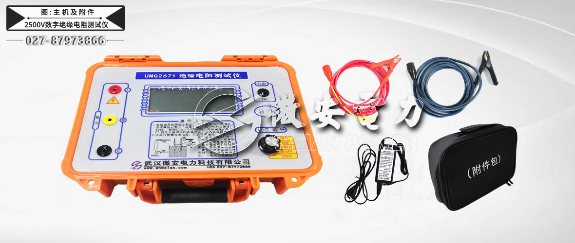2500V數(shù)字絕緣電阻測試儀主機(jī)及附件