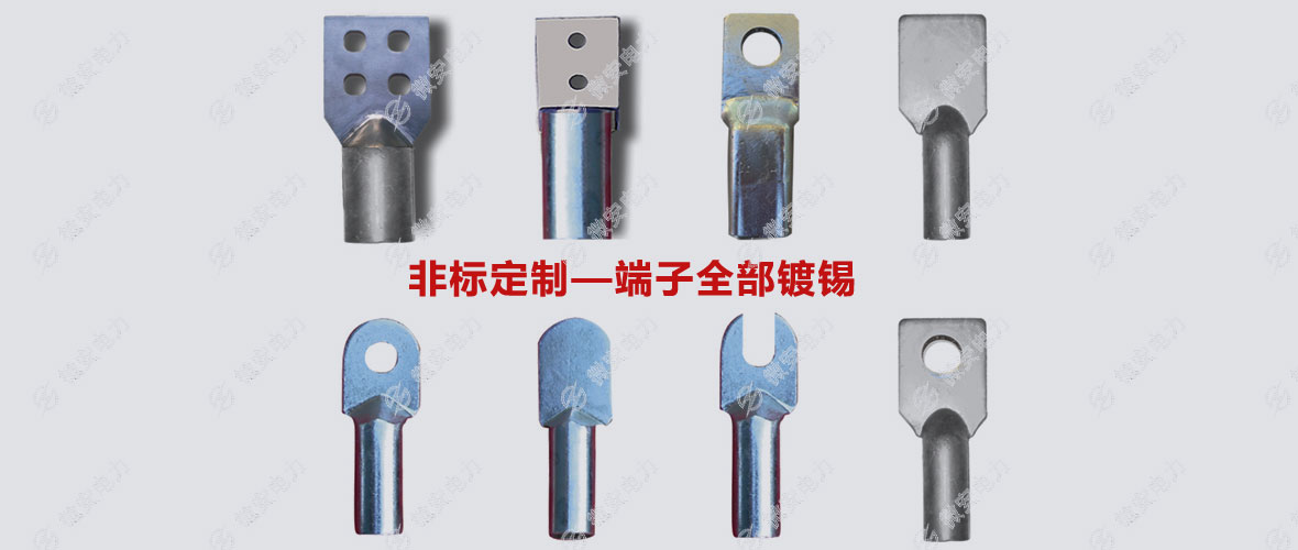 700A大電流導(dǎo)線接線端子定制