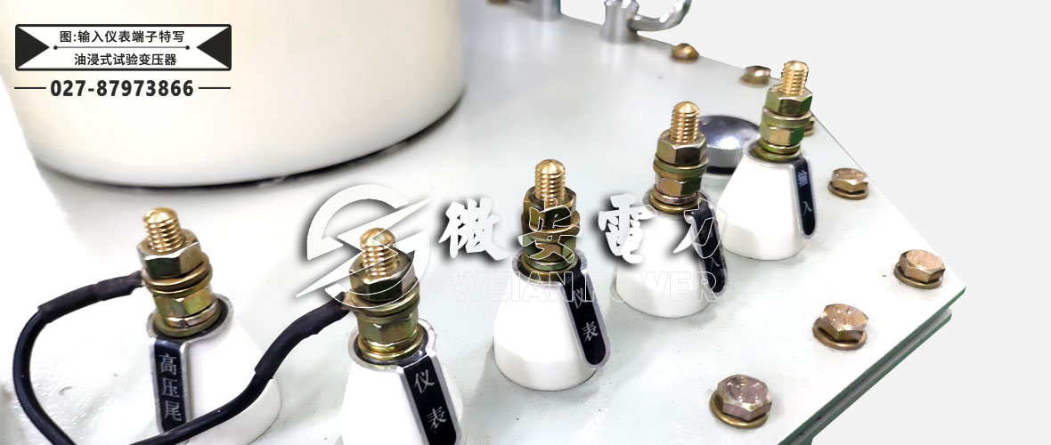 油浸式試驗變壓器輸入儀表端子特寫
